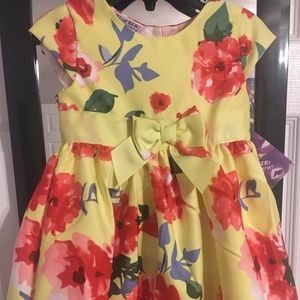 NWT Toddler Dress